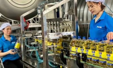 Hoạt động sản xuất kinh doanh của Amico