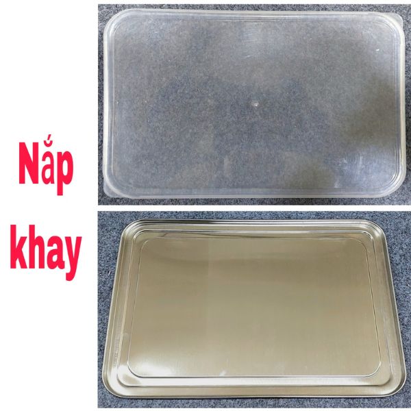 Khay trẻ em inox Amico cao cấp
