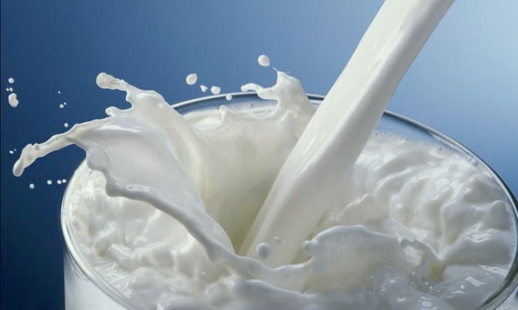 Bà bầu uống sữa tươi không đường vào lúc nào thì tốt?