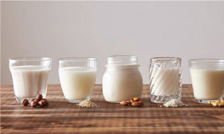 Bà bầu có nên uống sữa không đường?