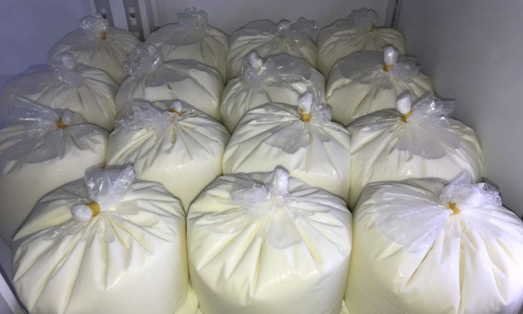 Cách bảo quản sữa tươi bằng tủ lạnh