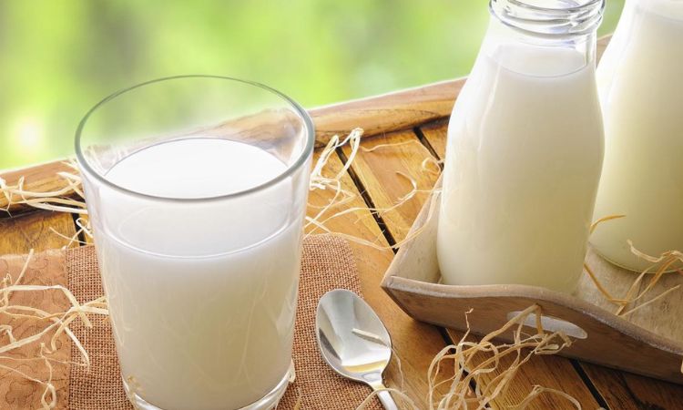 Cách uống sữa tươi đúng cách