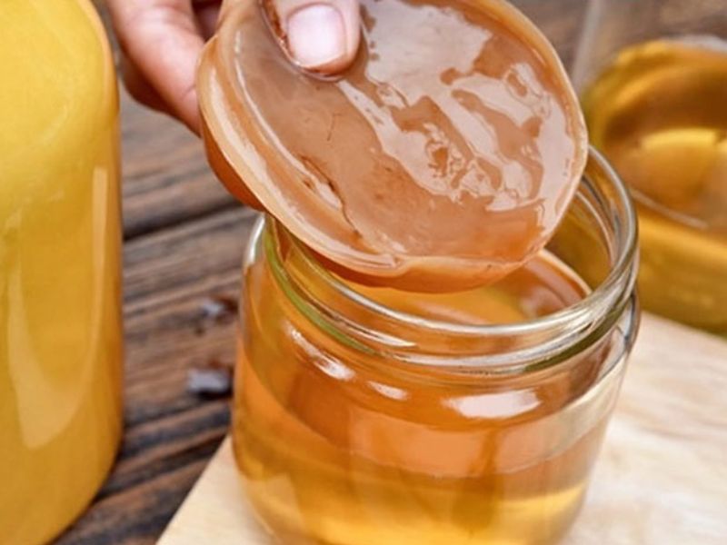 Công dụng Kombucha gì?