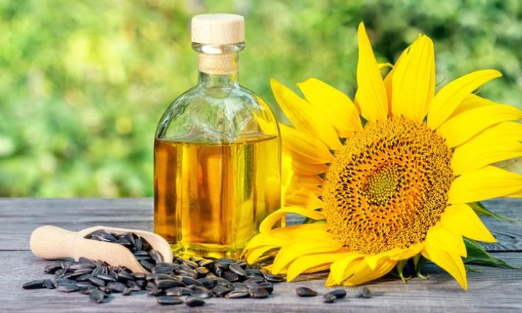 Dầu hướng dương