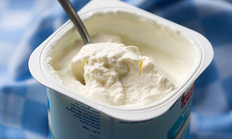 Đôi nét về sữa chua và lịch sử phát triển