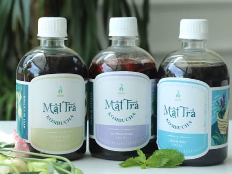 Mật Trà Kombucha