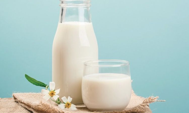 Lợi ích của sữa