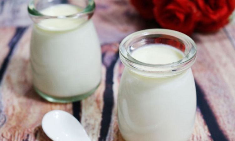 Lợi ích sữa chua phomai