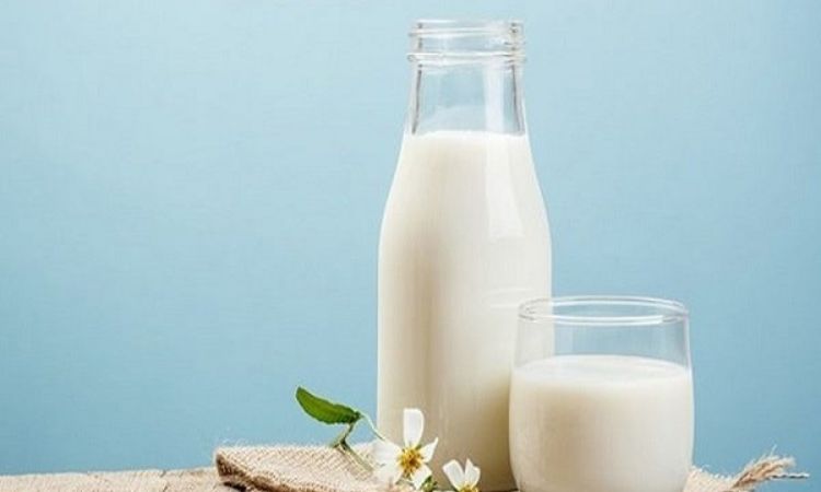 Lợi ích của việc bà bầu uống sữa không đường