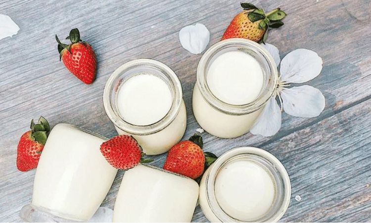 Lưu ý khi sử dụng sữa chua