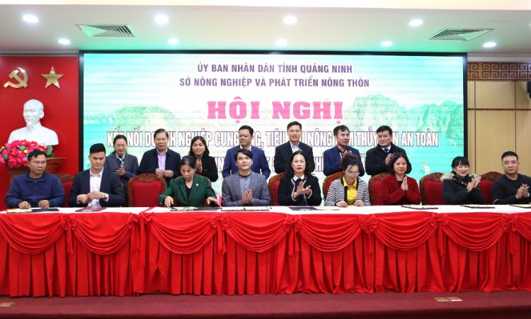 Hội nghị kết nối doanh nghiệp cung ứng, tiêu thụ nông lâm thủy sản 2024