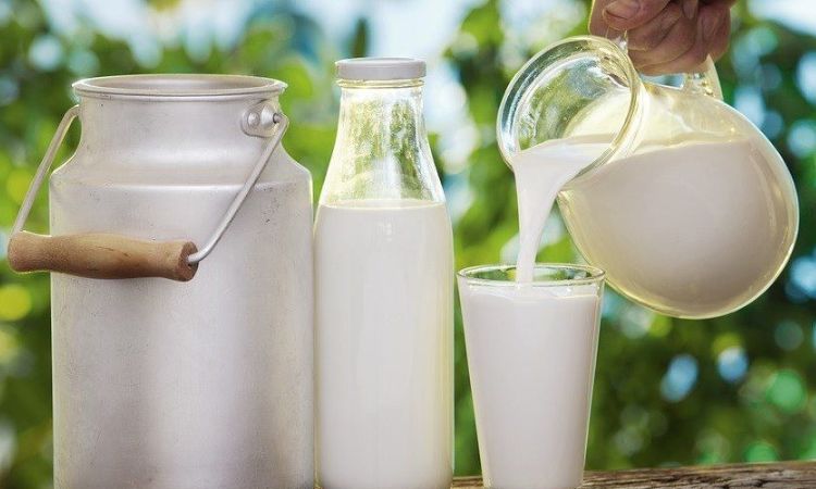 Sữa tươi có thể đun sôi không?