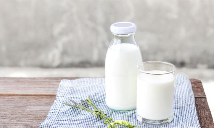 Giá trị dinh dưỡng của sữa