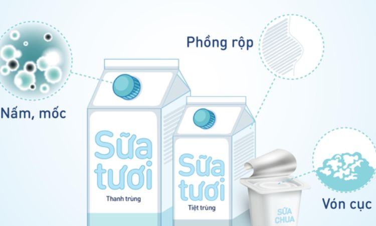 Tại sao cần bảo quản sữa bò tươi đúng cách?